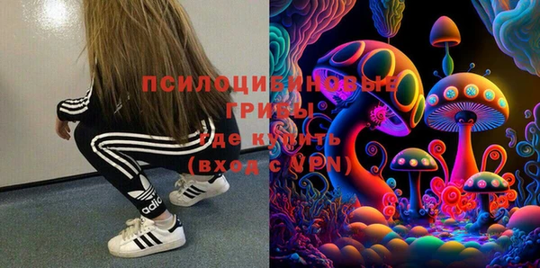 гидра Белокуриха