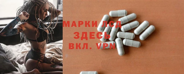 гидра Белокуриха