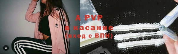 ПСИЛОЦИБИНОВЫЕ ГРИБЫ Белоозёрский