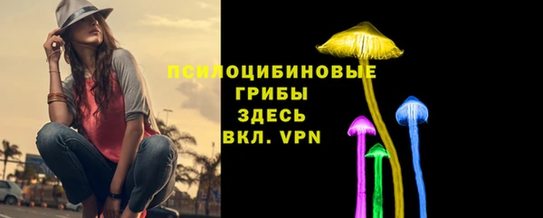 ПСИЛОЦИБИНОВЫЕ ГРИБЫ Белоозёрский