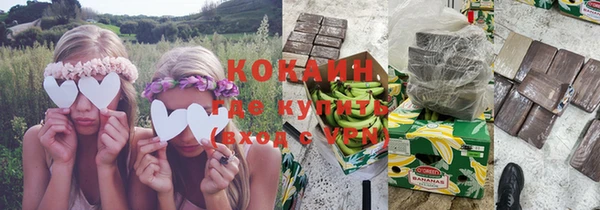гидра Белокуриха