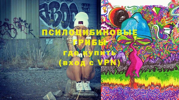 ПСИЛОЦИБИНОВЫЕ ГРИБЫ Белоозёрский