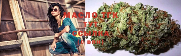 гидра Белокуриха