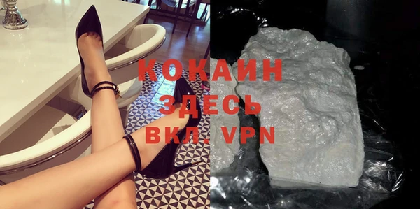гидра Белокуриха