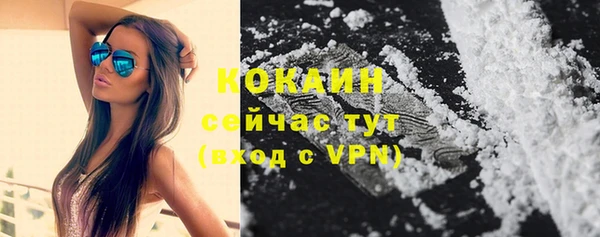 ПСИЛОЦИБИНОВЫЕ ГРИБЫ Белоозёрский